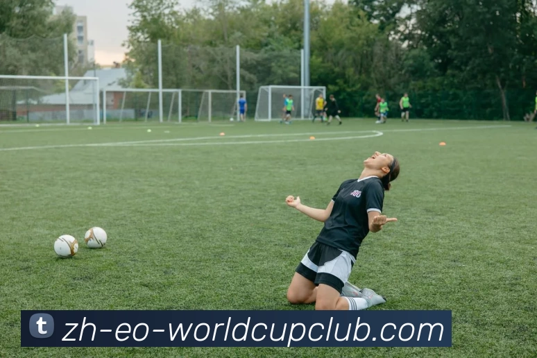 世界杯买球平台生态图